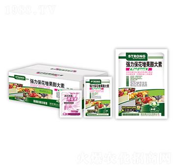 ��(qi��ng)���������������-̩