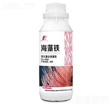 �����F-�J�S����