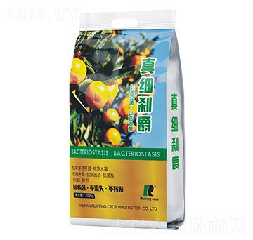 真細(xì)剎爵-銳豐作物