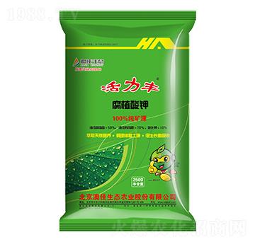 �����S��ֲ���-�ļ����B(t��i)