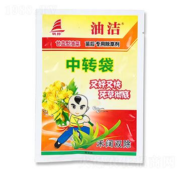 ���{���Ͳ�����ó���