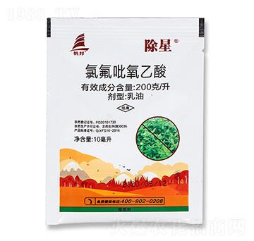 200��ÿ���ȷ�������