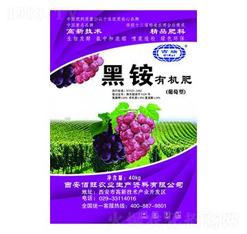 ���@�ЙC�ʣ������ͣ�-����