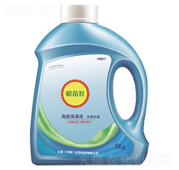 �����-�����-���r(n��ng)(li��n)��