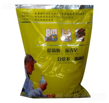 �ʿ���-����