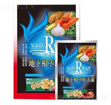 ���¸��o�����-�A�Z(li��n)