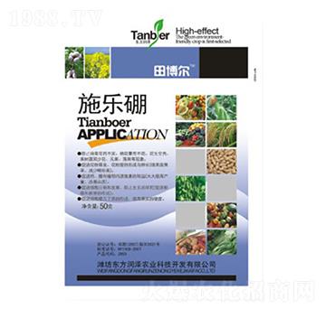 ʩ��(l��)��-�|����(r��n)��