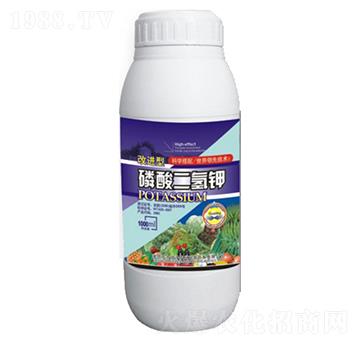 ��������-�|������