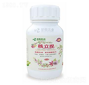 �����F��ƿ��-��W