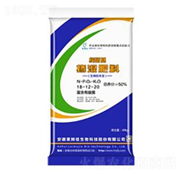 �������28-12-20-�Rķ������