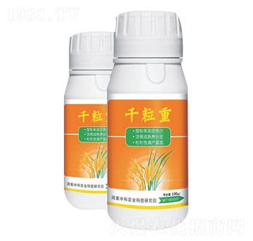 ǧ����-�п��r(n��ng)�I(y��)