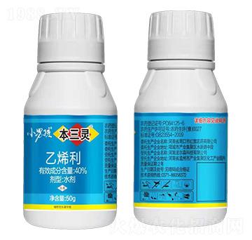 40%��ϩ��-�����`-С�к�-����ɭ