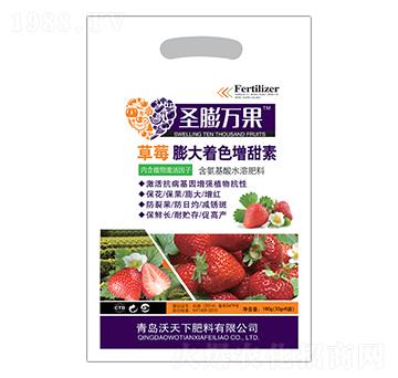 ��ݮ���������ɫ��-ʥ