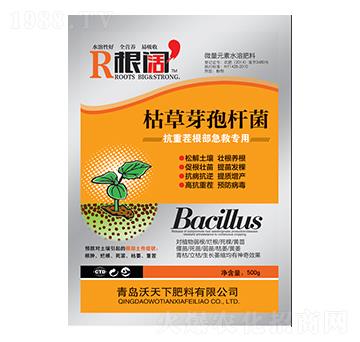 500g�ݲ�ѿ�ߗU��-