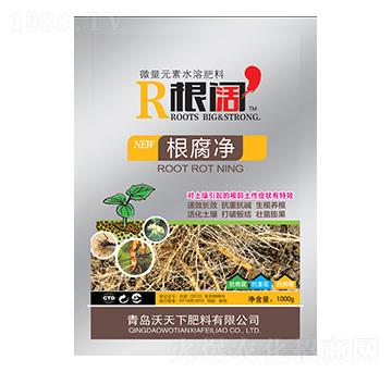 ������-���-������