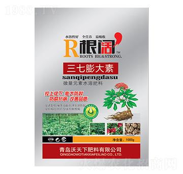 ���������-���-����