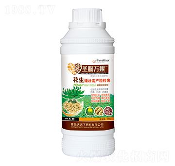 �������Ѹ߮a(ch��n)�����-ʥ