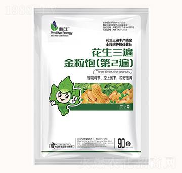 ��������������2�飩-���λ���