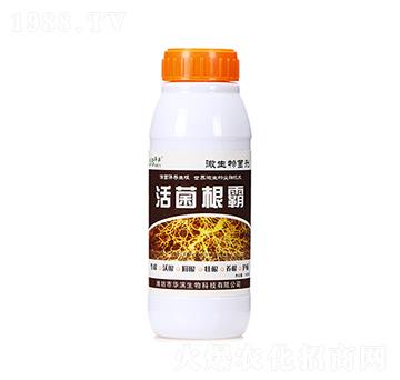 1000ml�������-�A�I