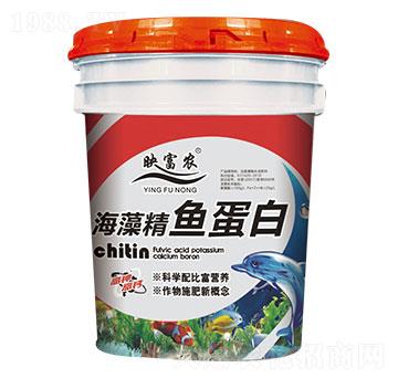 ���徫�~����-ӳ���r(n��ng)-���_(d��)����