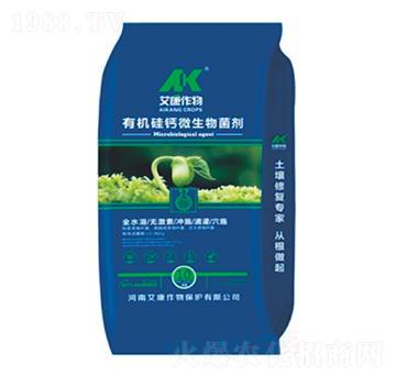 �ЙC(j��)���}΢�������-��������