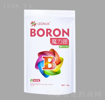 ħ����-�R�����W