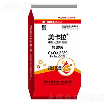 �n���} ������ ���P����