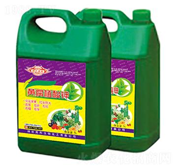 �S��ֲ��� ֲ���� �R������