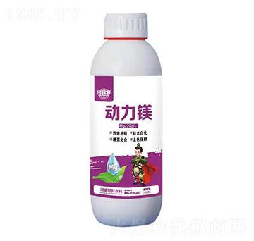 �����V �ڌ� �{(l��n)���r(n��ng)��