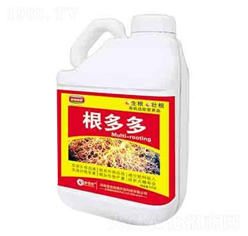 ΢����� ����� ����