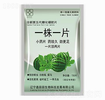 ���ό����� һ��һƬ ������