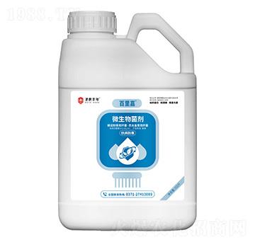 ΢���������������˥�� �����  ʥ���S��