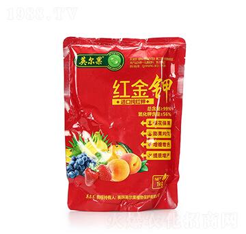 �M(j��n)�ڼ��t� �t��� Ӣ����