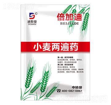 小麥兩遍藥 倍加迪 迪斯曼