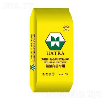 �߲����猣�� �@ʯϵ�н��@���|(zh��) ������