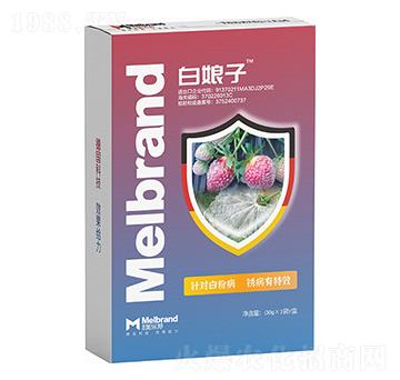 �׷۲����P����Ч ������ ������