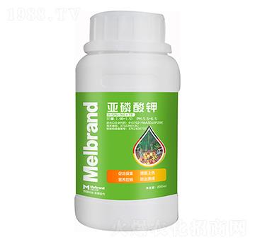 200ml植物免疫劑 亞磷酸鉀 美樂邦