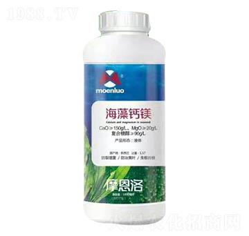 �����}�V Ħ����