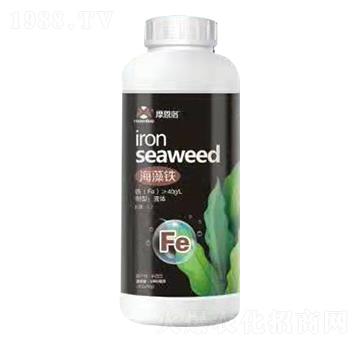 �����F Ħ����