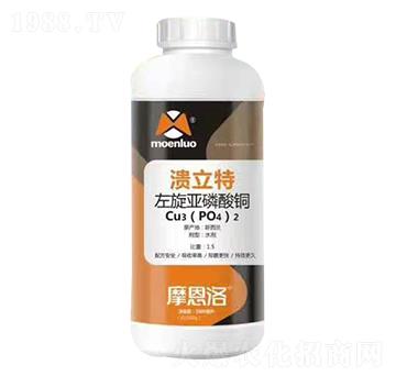 �����������~ ������ Ħ����