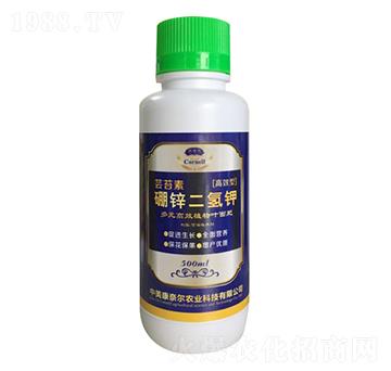 �|̦�����\�����-�����S-���Π�