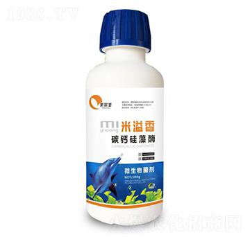 ̼�}����ø-������-���Π�