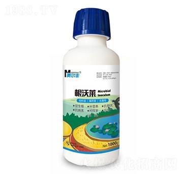 �����R-�����S-���Π�