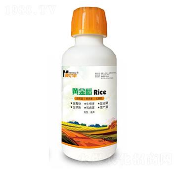 �S��-�����S-���Π�