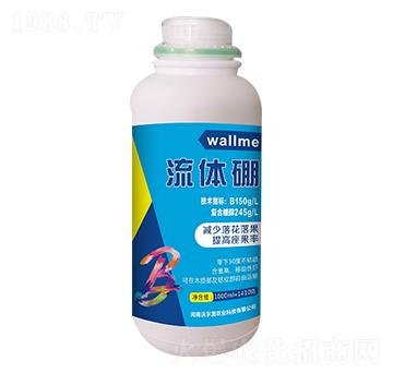 ���w��1000ml�� �֠���