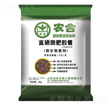 ����΢���z��-�r(n��ng)��-�����r(n��ng)�I(y��)