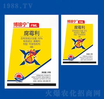 50%��ù�� ������FML ��Ƚ���W