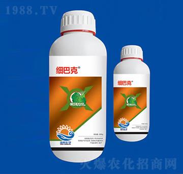 2%����ù�� ��(x��)�Ϳ� ��Ƚ���W(xu��)