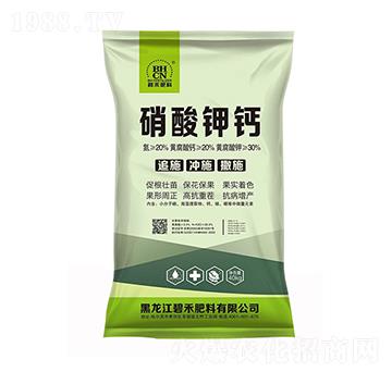 ������} �̷̺���