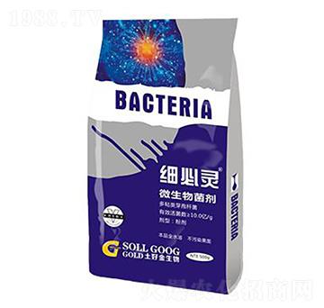 500g΢������� �����` ���ý�